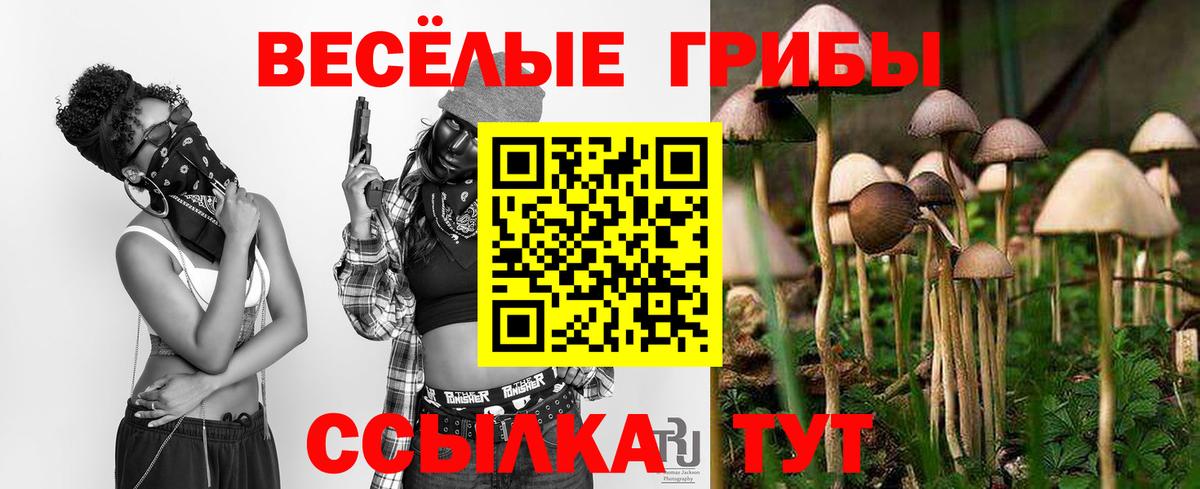 Серпухов  Галлюциногенные грибы мицелий  Вход с VPN 